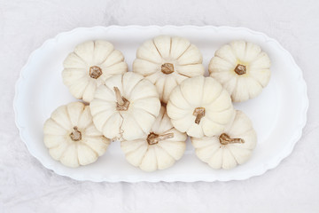 White Boo Boo Pumpkins