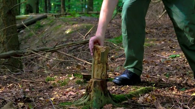 Mann hackt Holz im Wald mit Axt
