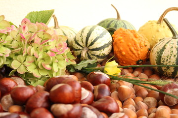 Herbstfrüchte