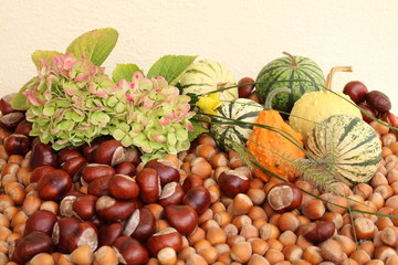 Herbstfrüchte