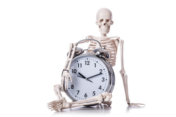 Skeleton with alarm clock on the white