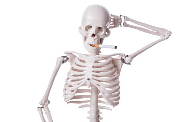 Skeleton smoking cigarette isolated on white