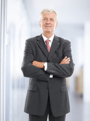 Senior businessman portrait