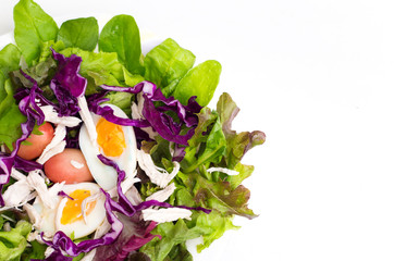 Fresh vegetable salad with boiled egg in white dish