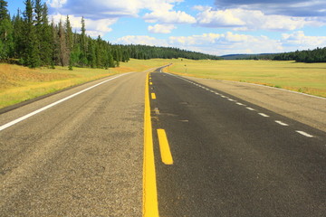 Fototapeta premium Srada americana verso il Grand Canyon