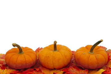 Colorful Fall Border