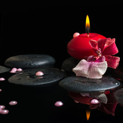 spa still life of red candle, zen stones with drops, orchid camb