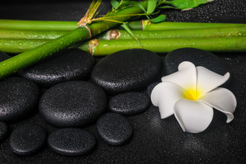 Obraz na płótnie Canvas spa concept of zen basalt stones, white flower frangipani and na