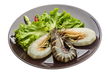 King and waterleg shrimps