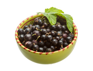 Black currant