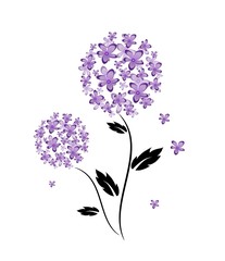 Two flowers of purple blooms