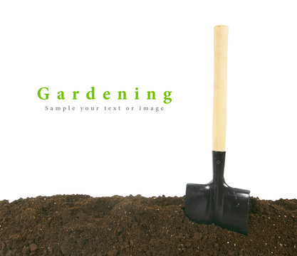 Gardening. A shovel in earth.