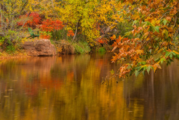 Sedona Foliage on a Cloudy Fall Day