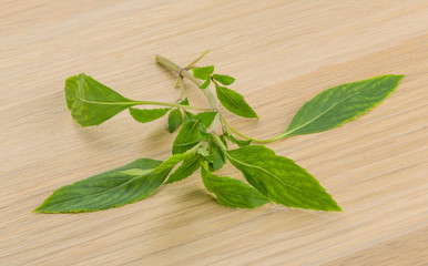 Bergamot leaves
