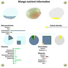 Mango nutrient information