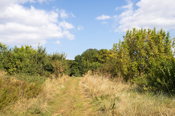 Fototapeta premium Idyllic landscape with blue sky and clouds, road