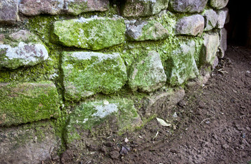 Curved Stone Retaining Wall Covered in Green Moss