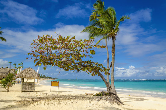 Beautiful exotic idyllic Caribbean beach with palm trees
