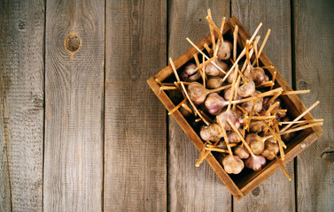 Garlic in a box
