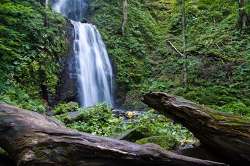 Naklejka na ściany i meble Waterfall of the forest