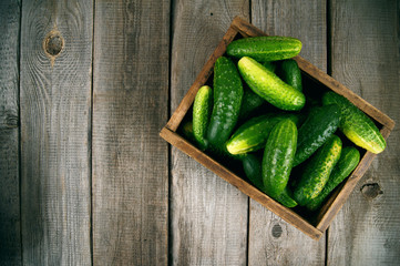 Cucumbers in a box on wooden background.
