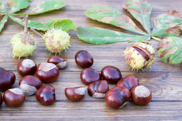chestnuts on the boards