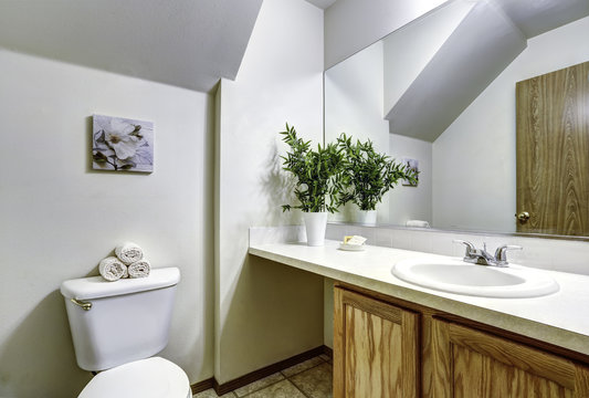 White bathroom with vaulted ceiling