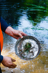 Turysta myje naczynie w rzece po posiłku podczas wyprawy