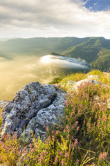 the stone in the middle of the vegetation on the top of the moun