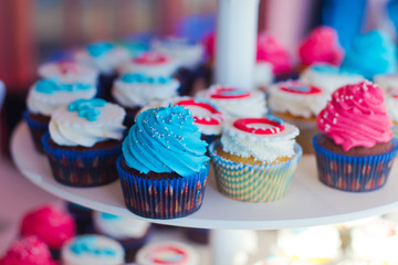 Beautiful multicolored decorated baked sweet tasty cupcake