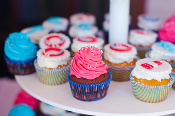 Beautiful multicolored decorated baked sweet tasty cupcake