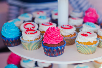 Beautiful multicolored decorated baked sweet tasty cupcake