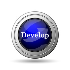 Develop icon