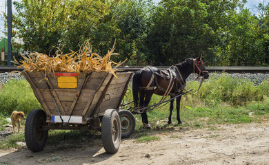 Wooden carriage with crop