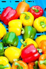 Yellow, Red and Green Peppers in Vegetables Market