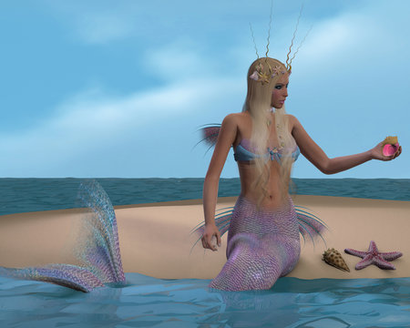Mermaid and Seashells