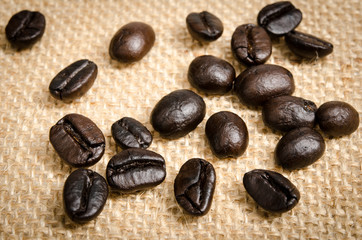 Coffee bean close up
