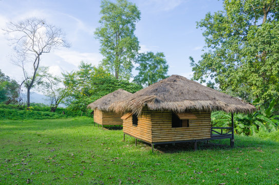 Cottage in Thailand garden,hut in green meadow