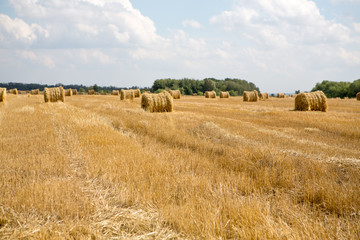 Fototapeta premium Hay bale or sheaf in a cold day