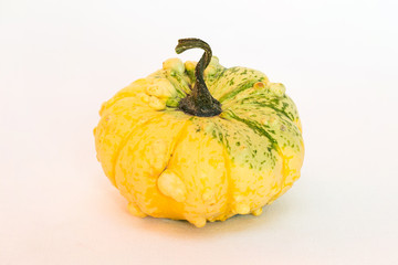 Ornamental Pumpkin