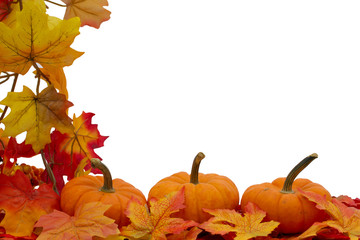 Colorful Fall Border