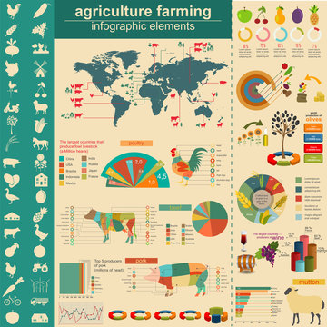 Agriculture infographics