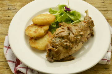 Oryctolagus cuniculus Rabbit Coniglio Lapin Kaninchen Κουνέλι