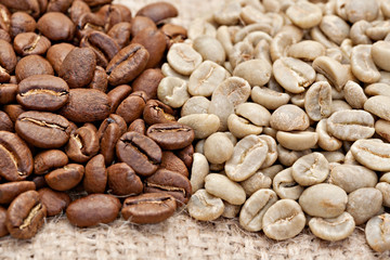 Roasted and  not roasted coffee beans on the sacking