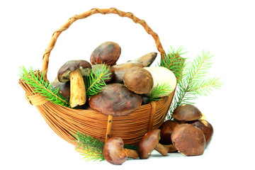 Mushrooms basket