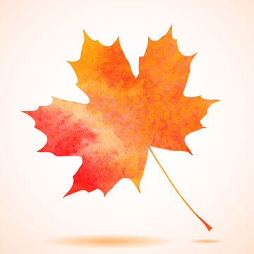 Orange watercolor painted vector autumn maple leaf background