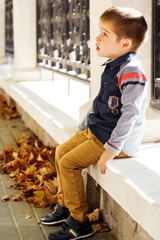 Little toddler boy in autumn park