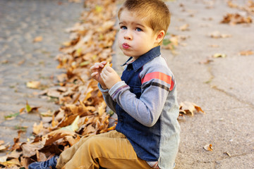 Little toddler boy in autumn park
