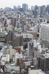 Fototapeta premium 浅草の街並み