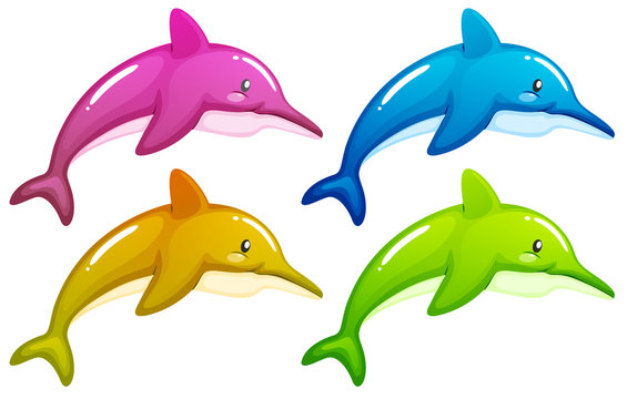 Four dolphins